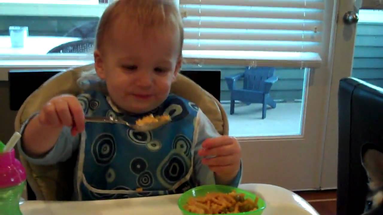 Opportunistic Feeding