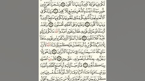 ماهر المعيقلي سورة المؤمنون مكتوبة صفحة 343 مصحف المدينة المنورة جودة عالية