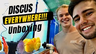 MASSIVE RARE DISCUS Unboxing!!! You Won’t Believe Your Eyes!