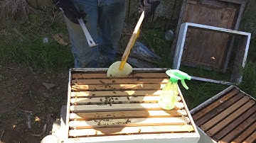 Random hive video #1 "adding a second brood box."