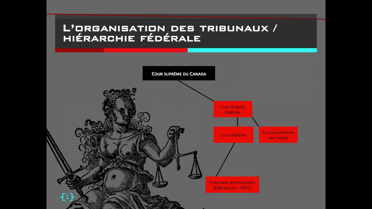 Le système judiciaire