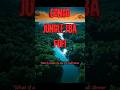 J’ba Fofi Congo Giant Spider... Are They Real? 🕷️ #shorts #cryptid #giantspiders