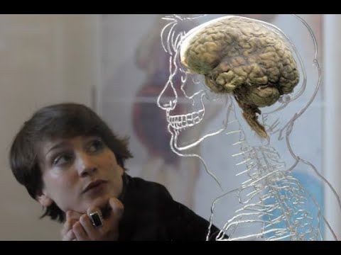 Vídeo: Por que a neurofisiologia é importante?