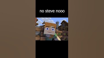 STEVE I