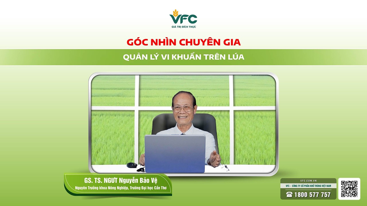 [Góc nhìn chuyên gia | Kỳ 3] Quản lý vi khuẩn trên lúa
