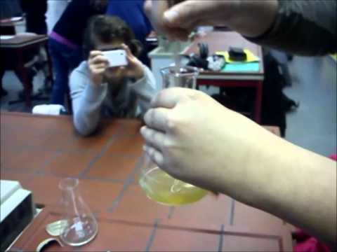 BioChemie-Versuc...  1 "Das Lichtorgan"