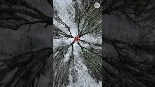 Winter storm drone footage shows frozen scenes from Texas to New York