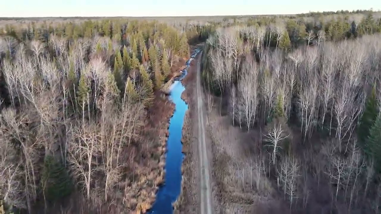 Tram road by Rice lake East side 1