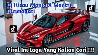 DJ KICAU MANIA X MENTRI DURMAGATI PARTY VELOCITY 🎧