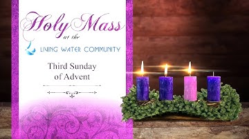 Homily - Third Sunday of Advent - 11th December 2022