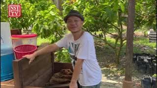 #Jom!: The artisanal journey of Tg Sepat's chocolate maker