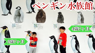 【雨の日週末☔】長崎ペンギン水族館