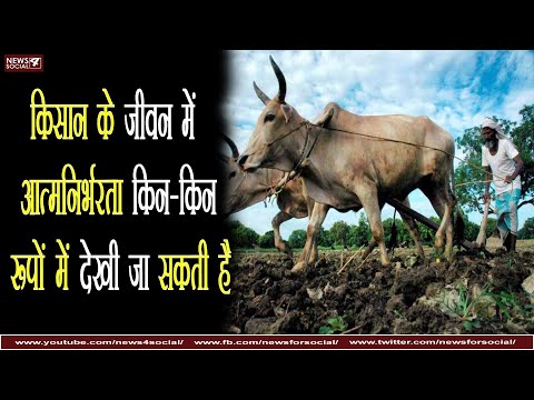 वीडियो