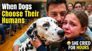 Rescue Dogs Found Their Forever Home - Dogs Choosing Their Humans ❤️