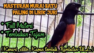 Masteran Murai batu Full materi tembakan  || DI LIRIK JURI