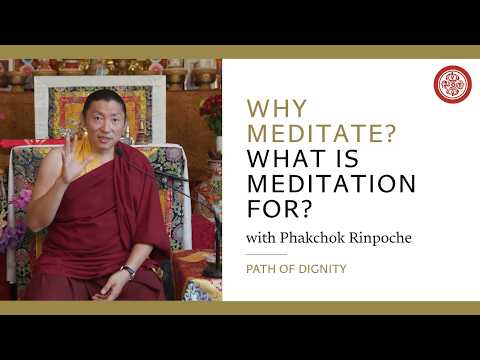 Why Meditate, What Is Meditation For?