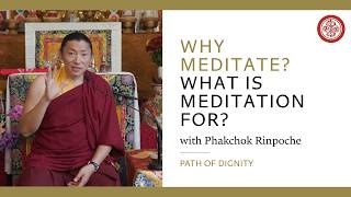 Why Meditate, What is Meditation For? | Phakchok Rinpoche | #fulllengthvideo Why Meditate, What is Meditation For? | Phakchok Rinpoche | #fulllengthvideo