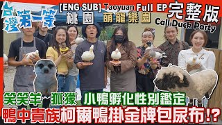 [全新] 桃園【鴨中貴族掛金牌、穿鞋、包尿布'最呆萌網紅柯爾鴨'笑笑羊 狐獴 兔豚聯誼聚會 融化你心/'蟻'起探索最迷你寵物蟻人的台灣原生種'蟻帝國'】│2023.05.14│《台灣第一等》完整版