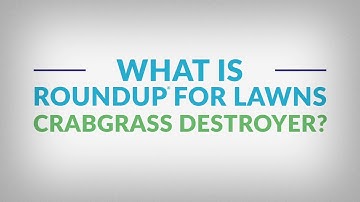 How to Use Roundup® for Lawns Crabgrass Destroyer with Comfort Wand