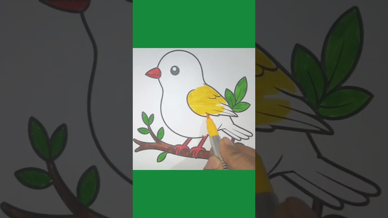 sparrow colour, sparrow bird, sparrow drawing colour, drawing sparrow bird, 