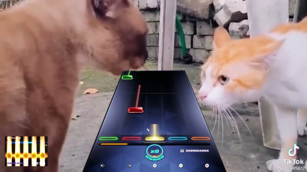 Epic Cat Fights Version - Fortnite 2025 12 02 #cat #cats #catvideos #epic