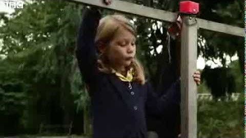 Panorama exposes costly bank 