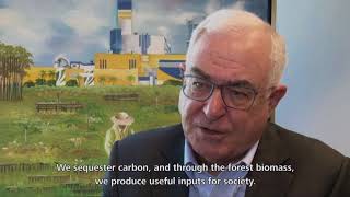 Climate Change - Fibria 2017 Report