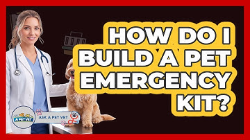 How Do I Build a Pet Emergency Kit?