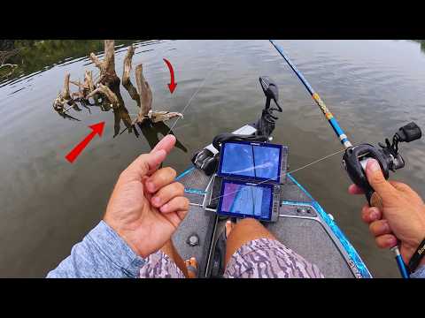 Dropping A CRAPPIE Jig In HEAVY Cover And CATCHING Slabs!!