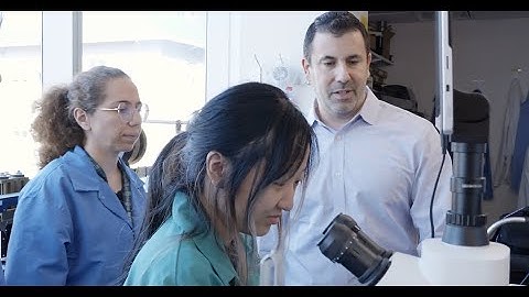 Adam Feinberg: New advances in 3D bioprinting FRESH platform