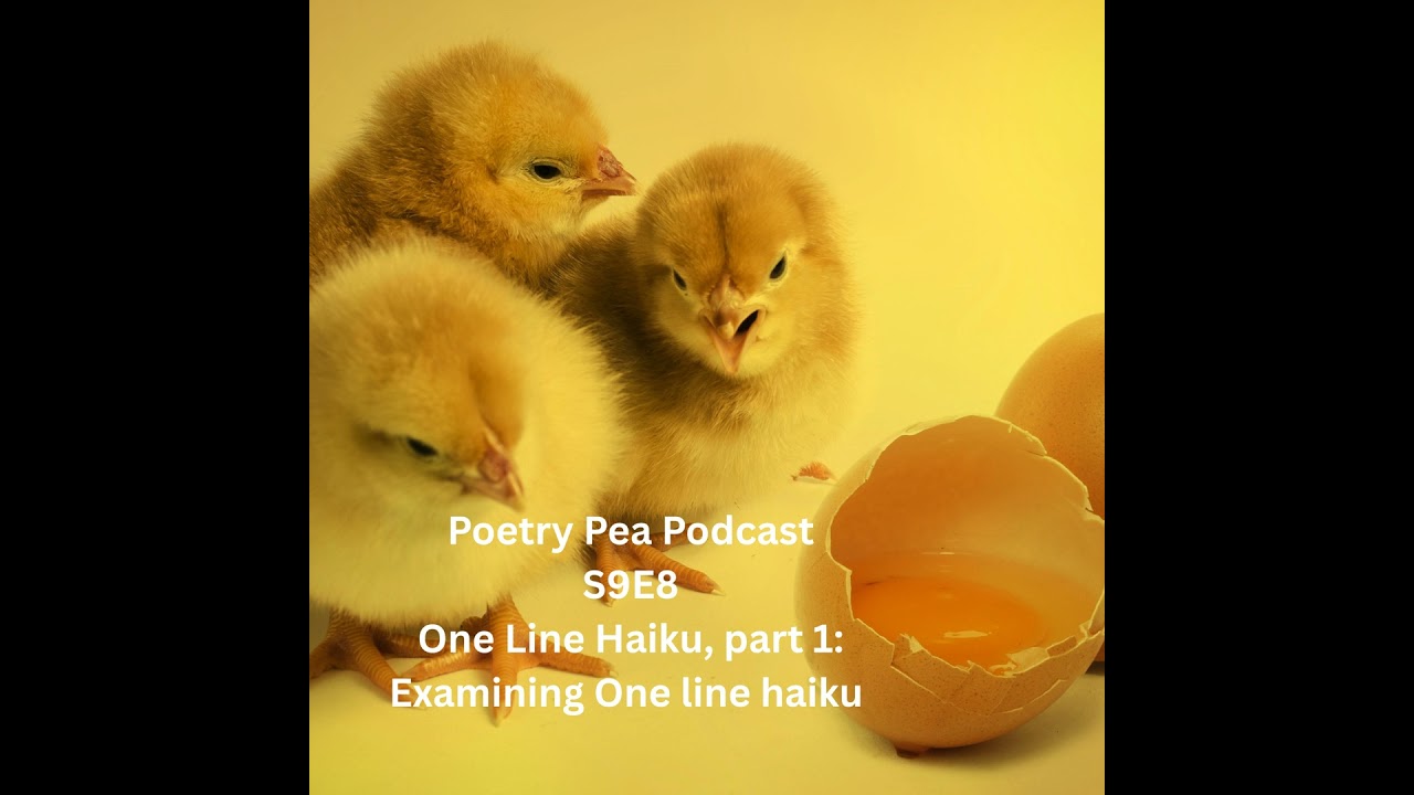 S9E8 Examining one line Haiku, The Form, The Flow