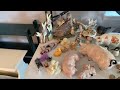 Estate Sale Redding CA
