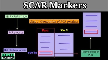 SCAR Marker | Sequence Characterized Amplified Region | Design & Development Of SCAR Markers |