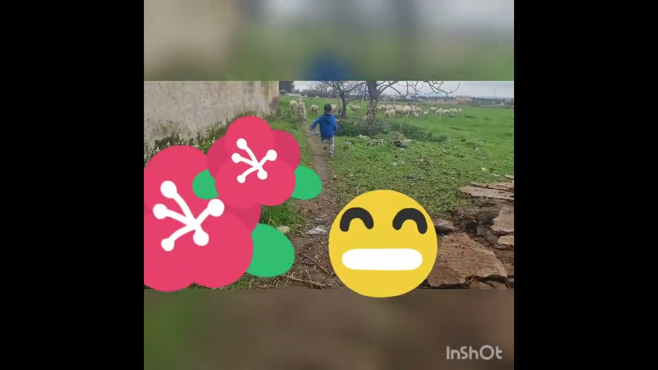 دخلو تشوفو كيف داز نهاري فالبادية مع الخرفان☺️🥰