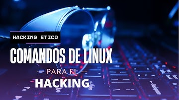 Aprende a usar la terminal de Kali Linux en menos de 7 minutos #hacking