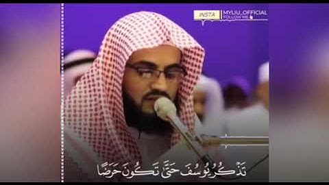 القارئ رعد الكردي سورة يوسف