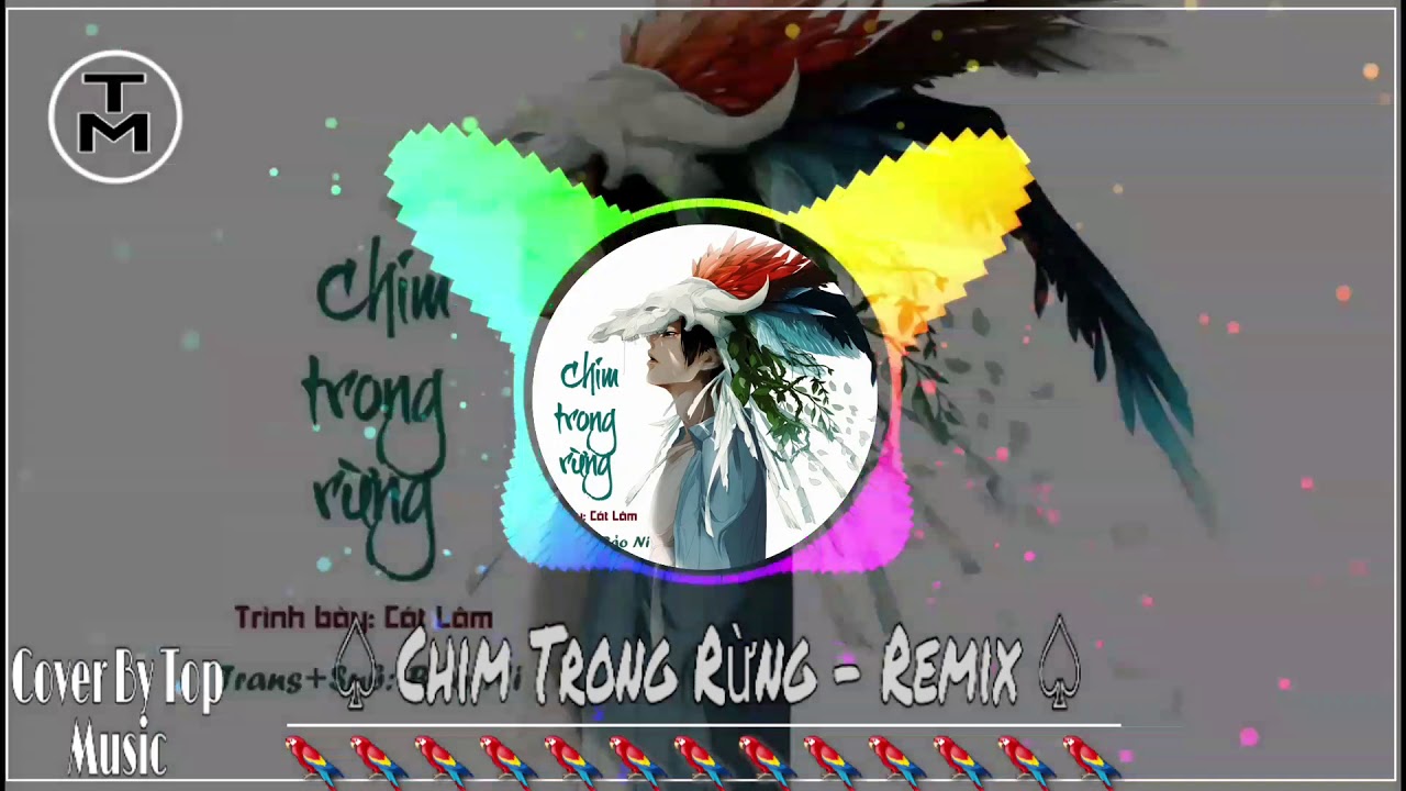 Chim Trong Rừng Remix | TOP Music - YouTube Music