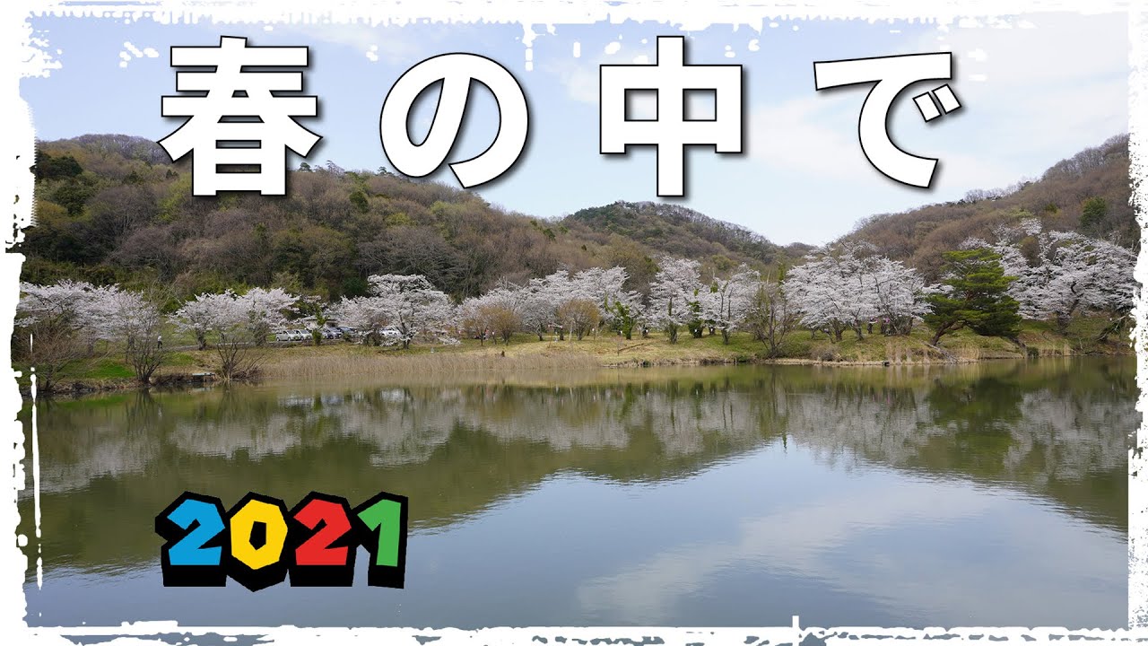 春の中で 群馬県太田市 菅塩沼21 ロードスター 車載動画 4k 桜 Youtube 春の中で 群馬県太田市 菅塩沼21 ロードスター 車載動画 4k 桜 Youtube
