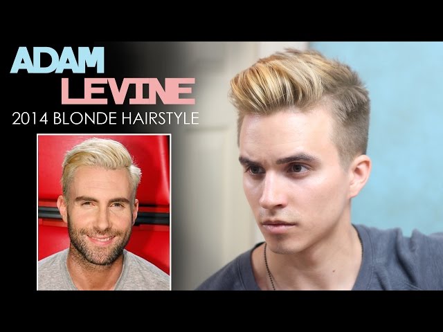 Adam Levine Sports Brand New Cornrow Braids In His Hair: Photo 4359342 | Adam  Levine Photos | Just Jared: Entertainment News