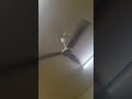 #trending