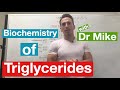 Fatty Acids, Glycerol, and Lipids | Biochemistry