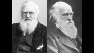 Evoluismo (ESPERANTO)