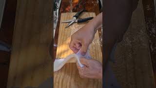 Breaking Down A Cuttlefish. Part 3 - removing the Usukawa membrane.