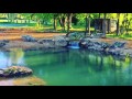 Backyard Swim Pond That Stays Crystal Clear Water In DFW, Texas