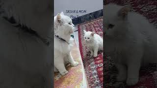 Cutest Playtime Battle Sasha Vs Mom