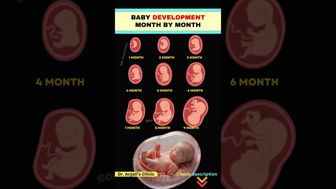 Little Kicks Big Changes Month By Baby Growth