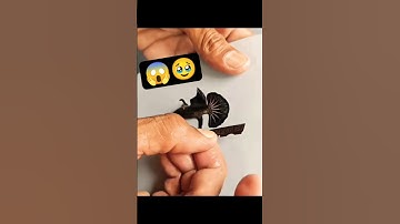 Cutting The Fins And Tails Of Betta Fish!! #shots #shorts #fish #aquarium #bettafish #shortfeed