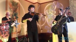 Bvtlive Wedding Dj Fusion - The Best Of Having A Dj And Live Musicians