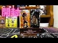 ワンピース   ワールドコレクタブルフィギュア   ログストーリーズ　ポートガス・D・エースVSマーシャル・D・ティーチ　ワーコレ　開封