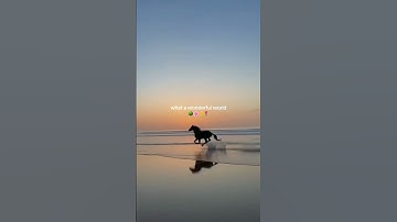 Thumbnail of Stop and think to yourself "What a Wonderful World" 💖✨